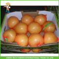 Fresh Honey Pomelo Supplier Good Taste Chinese Fresh Pomelo